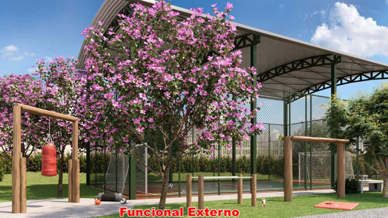 funcional-externo